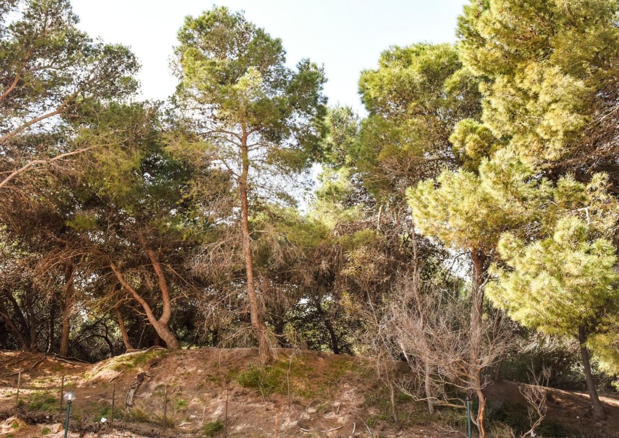 Appartamento Sulla Spiaggia Gallipoli Dış mekan fotoğraf